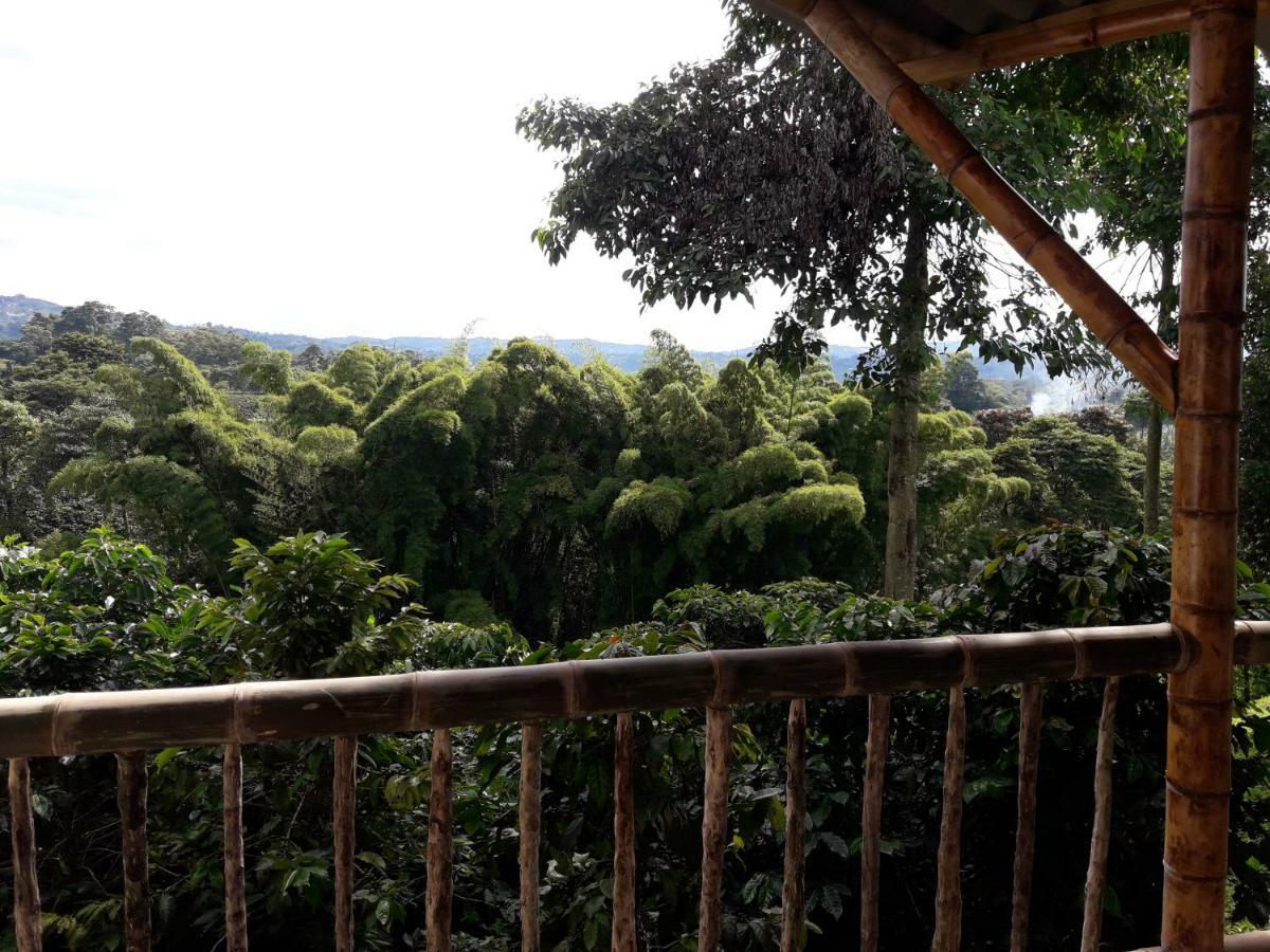 Hacienda Cafetera La Gaviota Villa Chinchina Luaran gambar